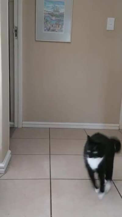 She recently learned how to do backflips