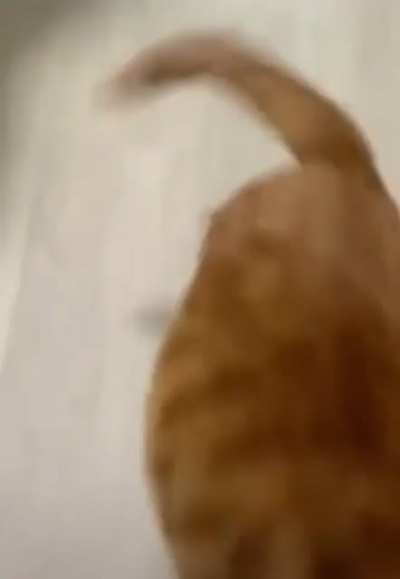 Strut attack