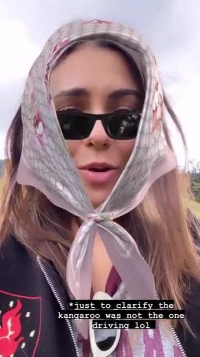 Seeing a kangaroo