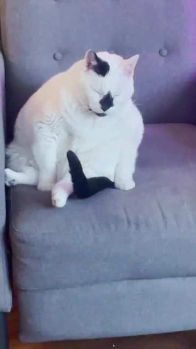 So sleepy…..