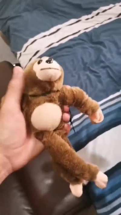 Monke