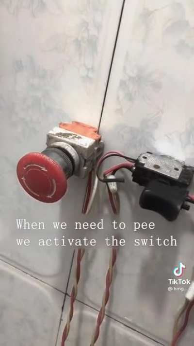 DiWHY