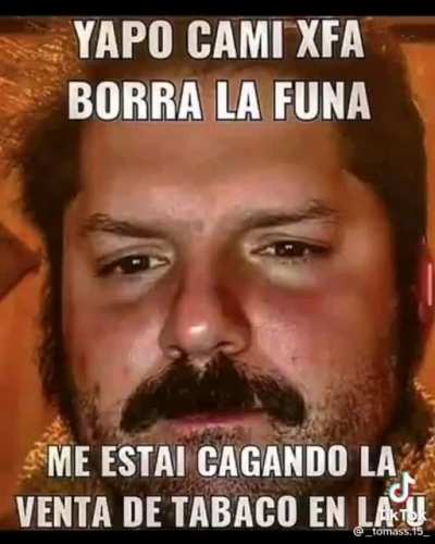 yapo cami porfa