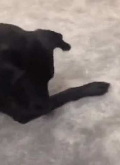 What!? Where'd it go?
