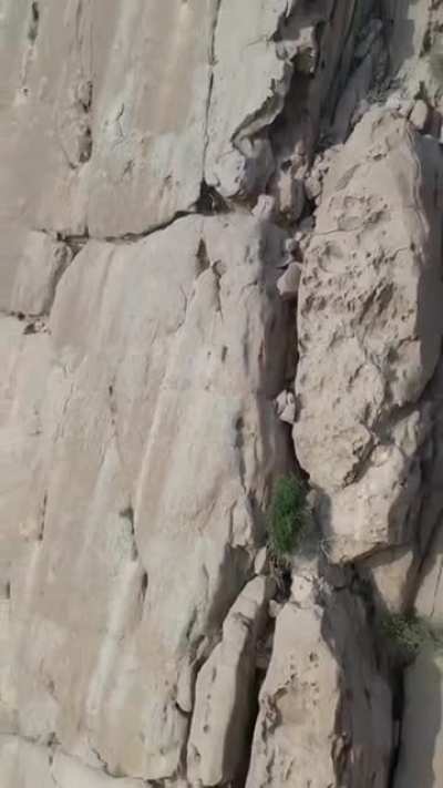 This is where you can find IBEX in Pakistan