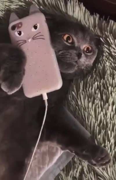 Neko
