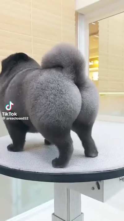 grooming 🍑