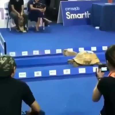 And we have a winner..