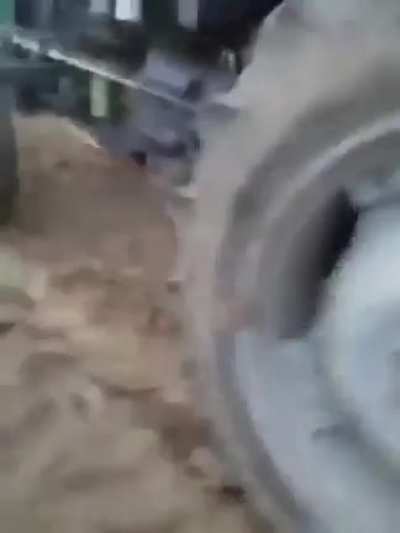 To Break Up A Dog Fight