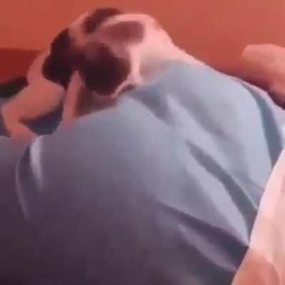 Looks like she's wasn't paying enough attention to this angel. Sorry if this is a repost.