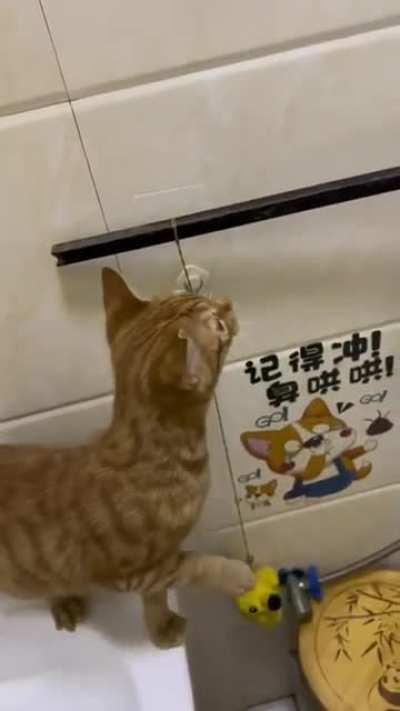 Don't come in here am using the toilet