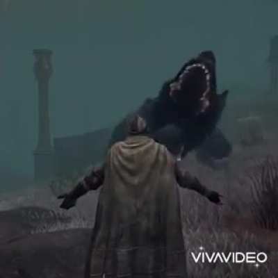 You can't pet dogs in Elden Ring