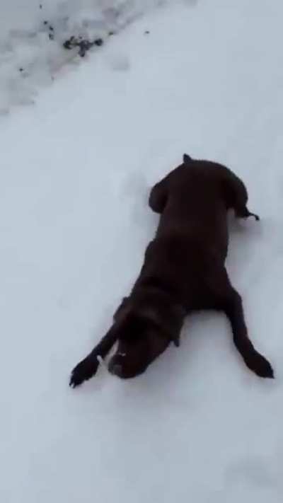 Зима близк<wbr>о...