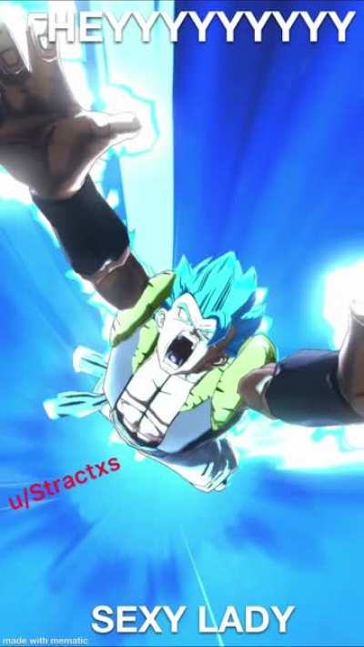 GOGETA PLEASE STOP