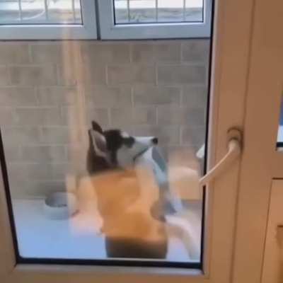 The background music made me laugh too loud