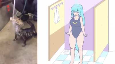 what i see vs what u see