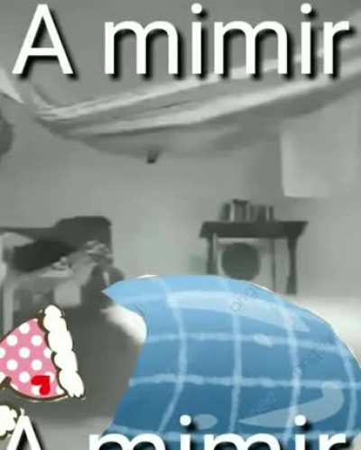 a mimir
