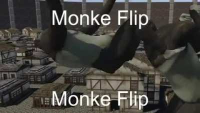 titan flip