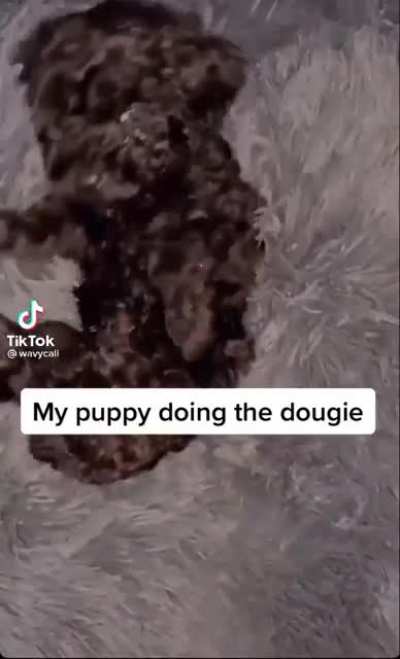 dogg hittin it