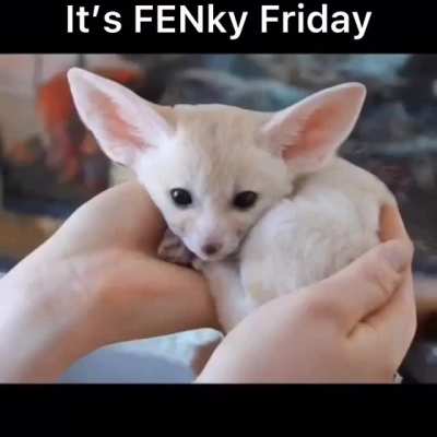 Time To Get Fency