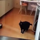 Радиолюбители тут?!