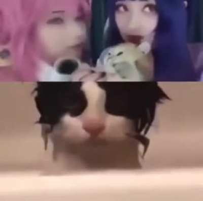 🗿