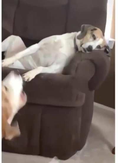 The ‘ I am sick of you’ look