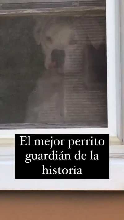 👀
