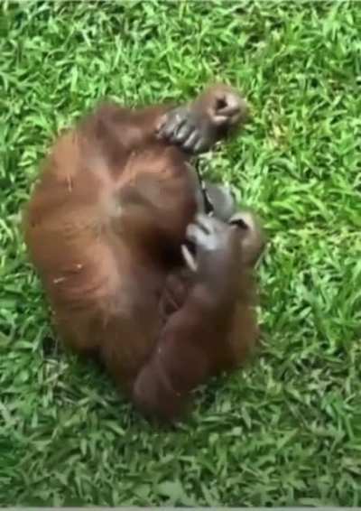 Add a title