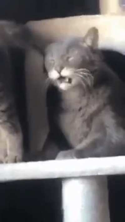 you can tell by the face