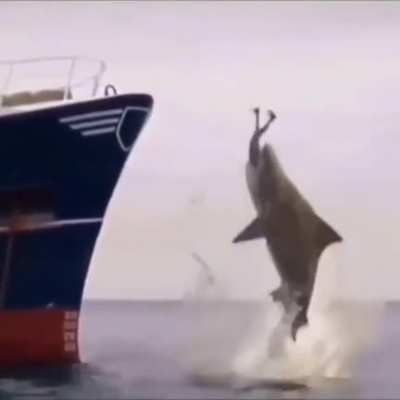 That jump!
