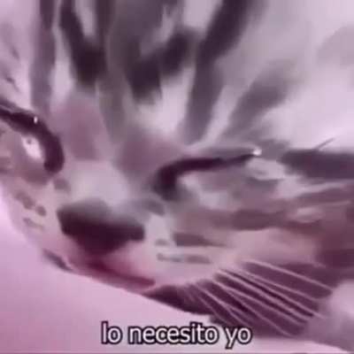 It’s all real sad boy hours again