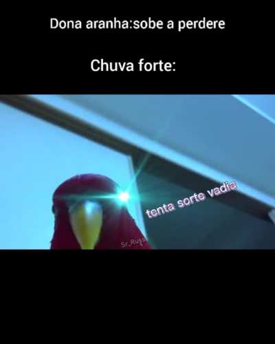morra dona aranha