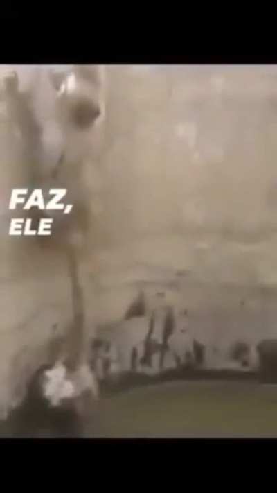Teria coragem?