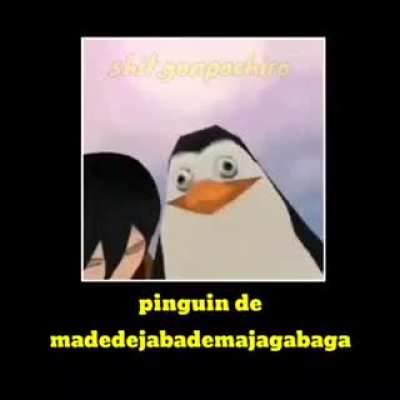 Olha ele