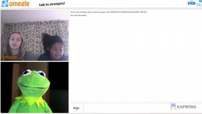 Kermit goes on Omegle