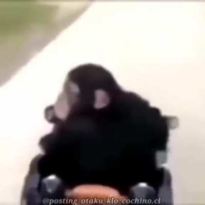 (Titulo)