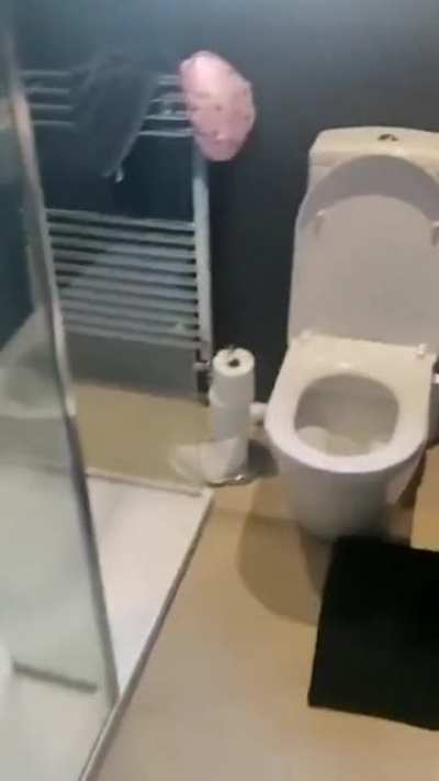 Not 