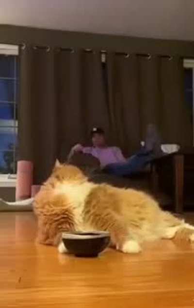 Food critic
