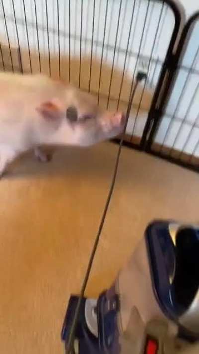 “Stop making all that noise Human!” -Arnold