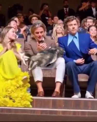 Oh God Harry threw a Goat on Chris Pine!