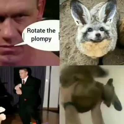 RULE