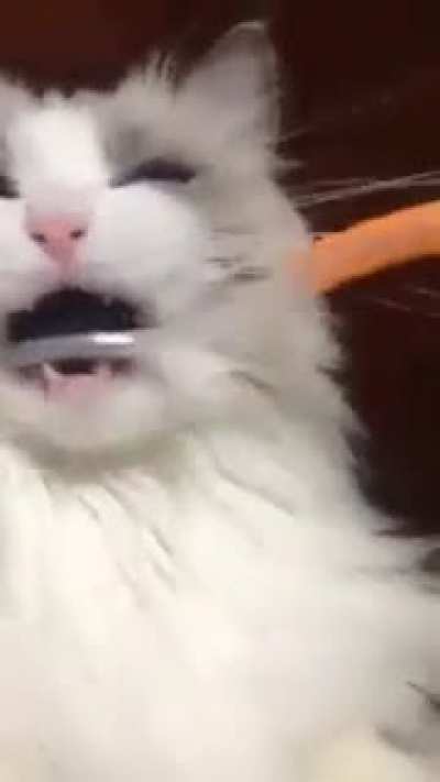 The power of the toothbrush compels him