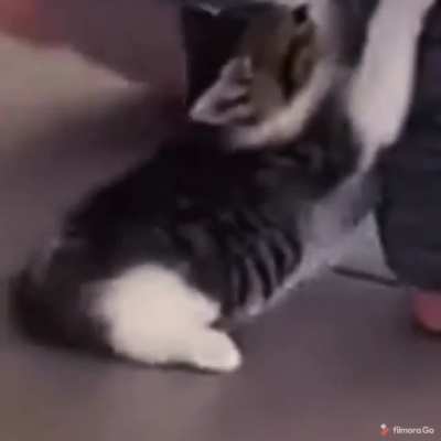 Don't leave me!