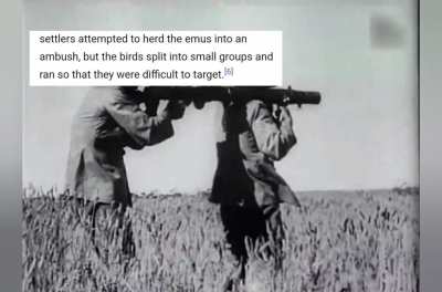 haha emu goes brrr (Original)