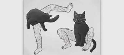 furry_irl