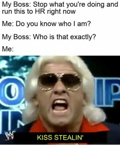 How I was acting with my boss holding my 100 GME when it peaked at $483
