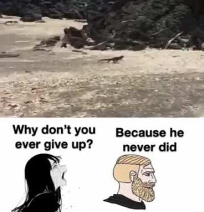 When will it end
