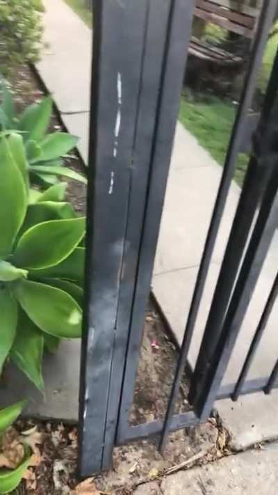 Secure and protected!