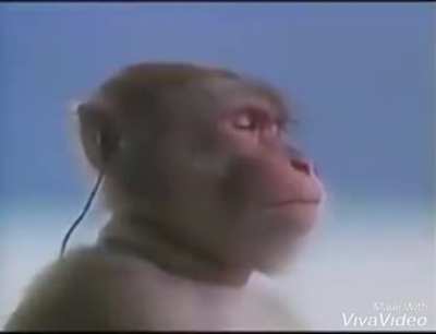 Hanuman vibing to the smt soundtrack